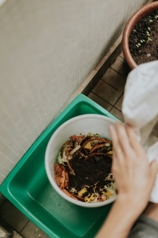 Beginner Tips for Composting at Home: A Simple Guide to Getting Started